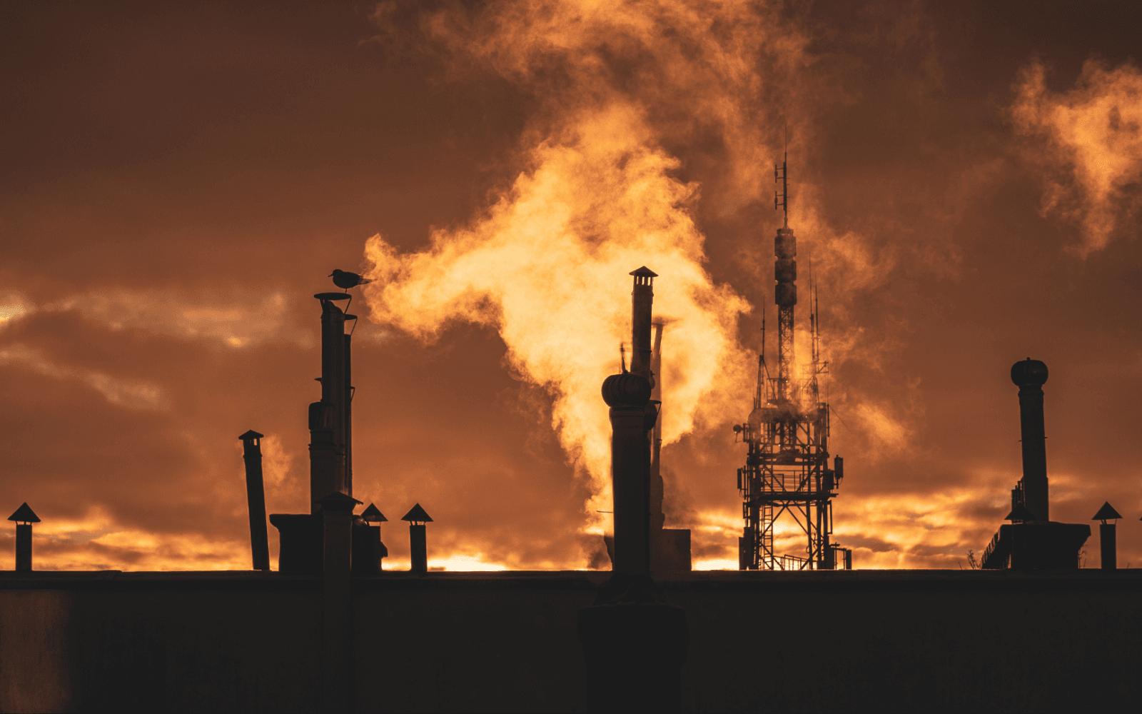 IFPP for manufacturing